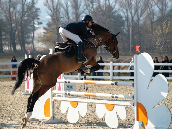 Vêtement sport mérino homme : confort et performance assurés